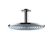 Душевая лейка для душа Hansgrohe Raindance, с..