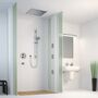 Душевая лейка для потолочного душа Hansgrohe Raindance, 26472000