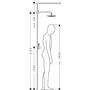 Верхний душ Hansgrohe Raindance Select, 1 jet, хром, 26470000