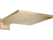 Верхний душ Hansgrohe Raindance Е 300, 1 jet,..