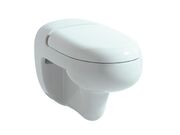 Унитаз подвесной Laufen Flora Kids 820031 31x52