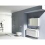 Двойная раковина-столешница Laufen Pro S 120х46, отв для смесителя, 8149660001041