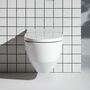 Унитаз с функцией биде Laufen Cleanet Navia Shower WC