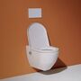 Унитаз с функцией биде Laufen Cleanet Navia Shower WC