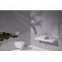 Унитаз с функцией биде Laufen Cleanet Riva Shower WC