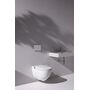 Унитаз с функцией биде Laufen Cleanet Riva Shower WC