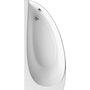Ванна акриловая Ravak Avocado 160x75 R