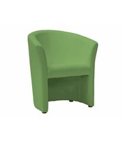 Кресло SIGNAL TM-1 EK-11 зелёный